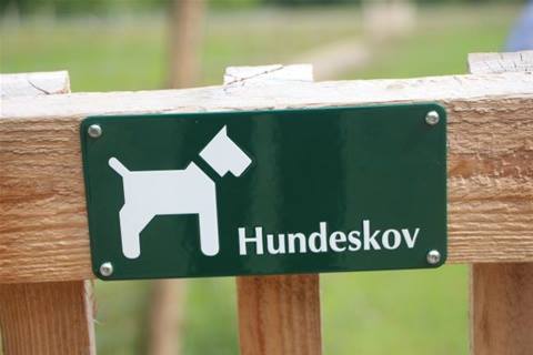Skilt ved indgangen til Odder Hundeskov med teksten 'Hundeskov', der byder velkommen til et område, hvor hunde kan løbe frit og lege sikkert.